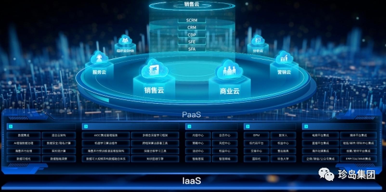 派思坦信息技术